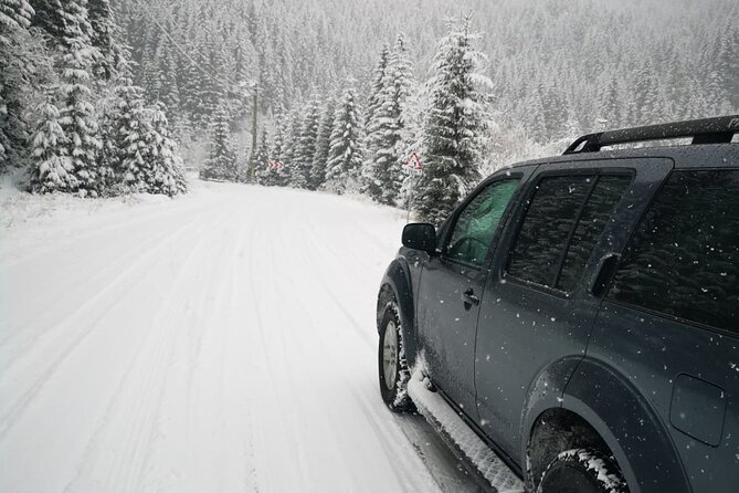 1 Day 4x4 Tour in Carpathian Mountains - Your guide and the storytelling that makes the ride more than just driving