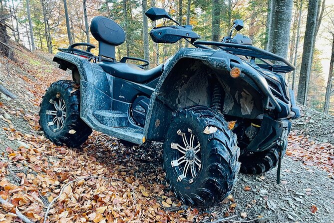 1 Day ATV Tour in Carpathian Mountains - Price and Value: What $228.29 Covers and What to Budget On