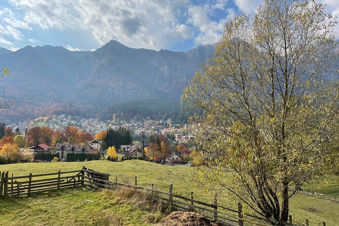 1 Day ATV Tour in Carpathian Mountains - Should You Book This ATV Day Trip to Transylvania?