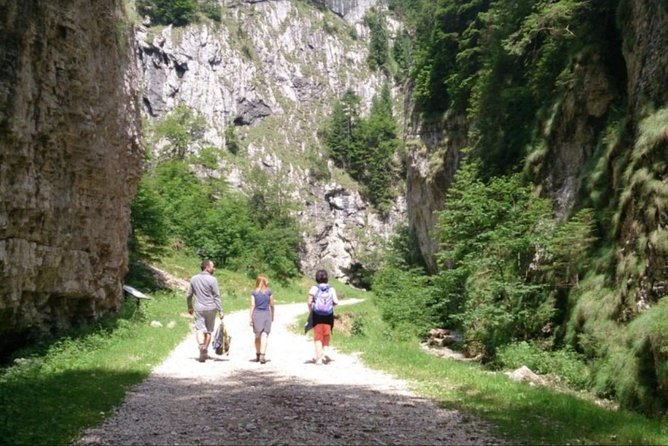 1 day CARPATHIAN PEAKS & CHALETS hike - Cabana Curmătura (1470 m): Where the Climb Starts to Pay You Back