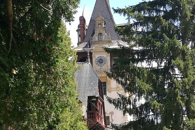 1 Day Castles Tour - Sinaia and Bran - The guide makes or breaks a castle day, and Vlad is a strong example