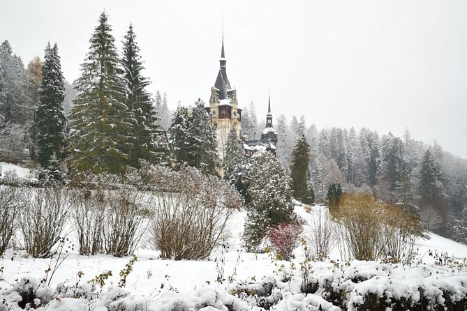 1 Day Castles Tour - Sinaia and Bran - Comfort, group size, and how the format affects your day