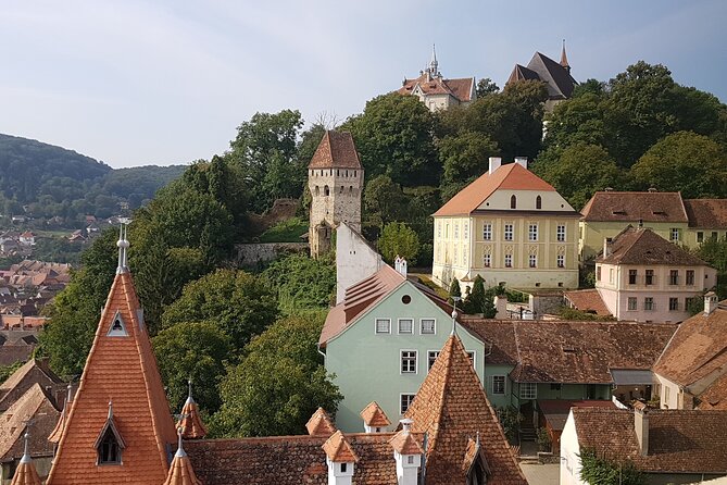 10 Days Private Tour in Romania from Bucharest - Egg museum oddity, Popa naive sculpture, and Bicaz Gorges walking time