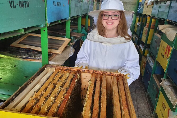 10 hours Private Apiary Tour in Romania - From Bucharest - The drive out of Bucharest is part of the package