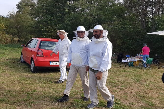 10 hours Private Apiary Tour in Romania - From Bucharest - Your apiary time in Vâlcea County: what you actually learn