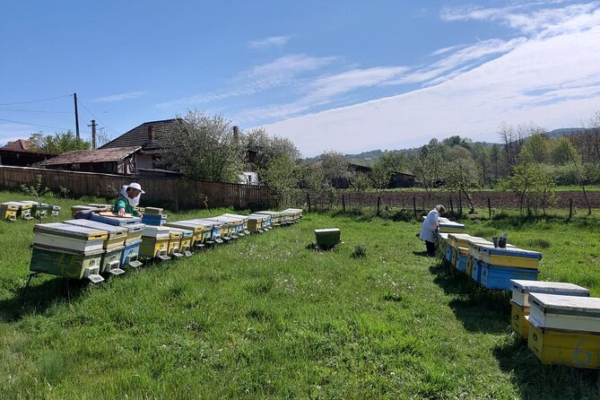 10 hours Private Apiary Tour in Romania - From Bucharest - Timing, season, and what to plan for