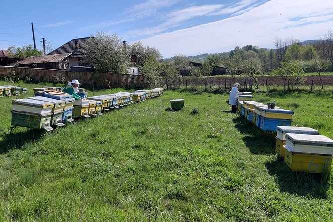 10 hours Private Apiary Tour in Romania - From Bucharest - The monastery stop at Curtea de Arges: why it fits here