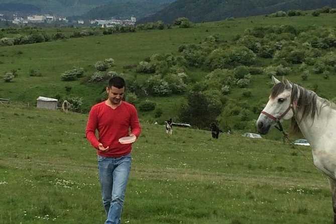 2 Days Private Tour Transfagarasan Road & Sibiu from Bucharest - Transfagarasan Highway: the road that turns a drive into a highlight