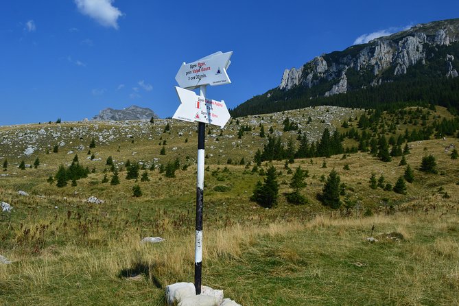 4-Day Carpathian Trek: Bucegi Mountains and Piatra Craiului National Park - Where you stay: guesthouses in small villages, not just overnight boxes