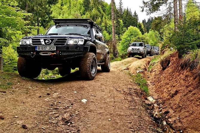 4x4 Driving Experience at Flying Altitudes - 7 Days - Day 2: Bran Castle, Dracula Teeth viewpoints, and altitude village life