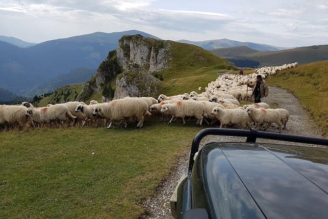 4x4 Driving Experience at Flying Altitudes - 7 Days - Day 7: Brasov Old Town, Black Church, then back to Bucharest or the airport
