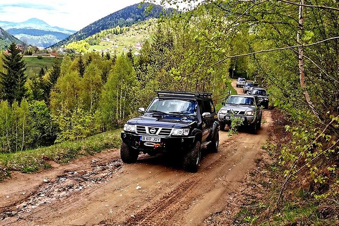 4x4 Nature Tour in Land of Dracula - 1 day - Bran Castle area: free time, shopping, and optional Dracula tickets