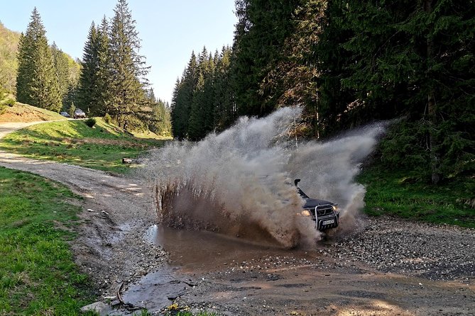 4x4 Nature Tour in Land of Dracula - 1 day - Guide style matters, and you can feel it in the timing