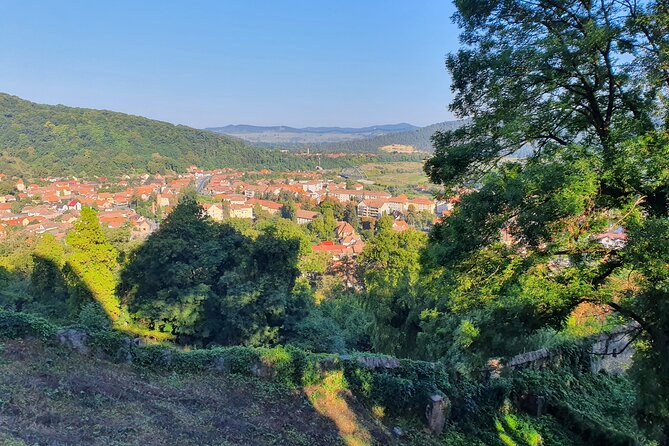 6 Days Private Tour in Romania Spectacular Places from Bucharest - Day 2: Brasov Old Town Break, Bran Castle, and Rupea Fortress