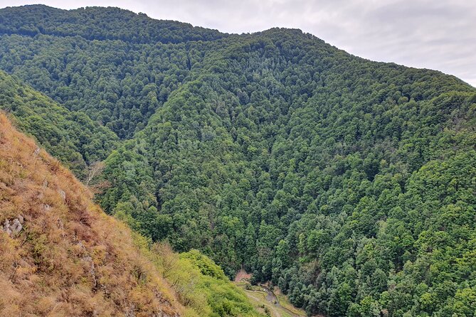6 Days Private Tour in Romania Spectacular Places from Bucharest - Day 4: Densus Church’s Ancient Layers and Hunyadi Castle’s Gothic Drama