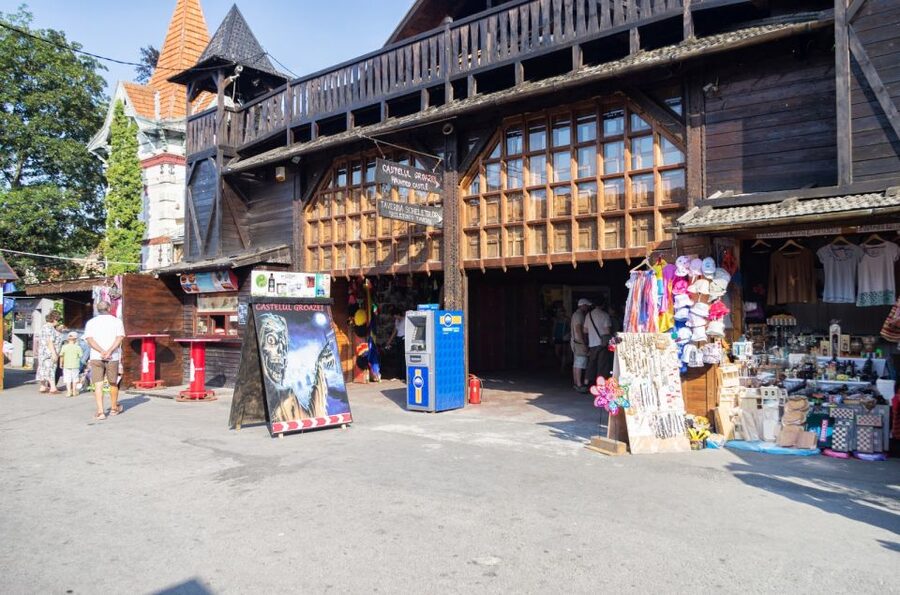 7h Dracula's Castle Private Tour from Bucharest - Fast Tour - Private 7-hour Dracula Day Trip: What the Experience Feels Like