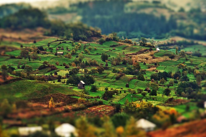 A Journey Back in Time: Countryside from Transylvania and Maramures - 15 Days - Zărnești bear sanctuary: nature time between castles
