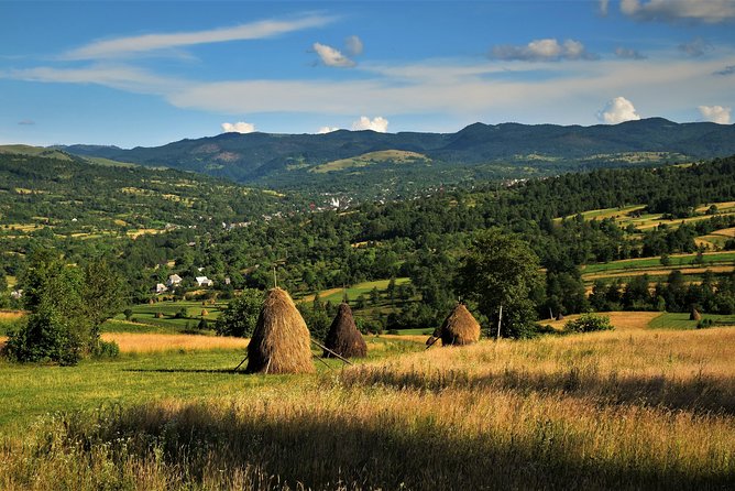 A Journey Back in Time: Countryside from Transylvania and Maramures - 15 Days - UNESCO Saxon circuit day: Biertan, Valea Viilor, and Alma Vii