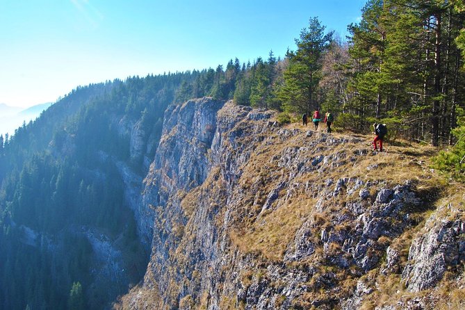 Adventure day trip from Iasi | Hiking in the Carpathian Mountains - How the day runs from Iasi: pickup, timing, and a small group pace