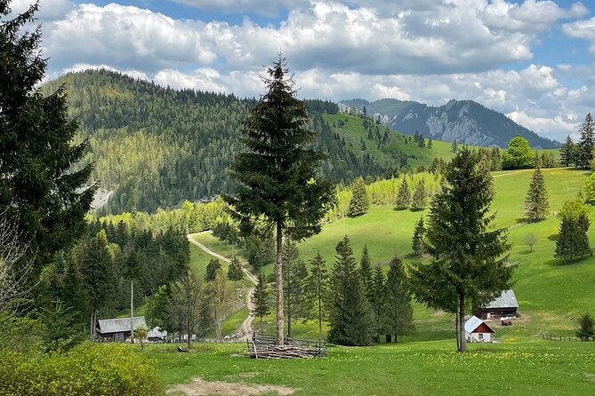 Adventure day trip from Iasi | Hiking in the Carpathian Mountains - Route day meets real effort: what the pace feels like