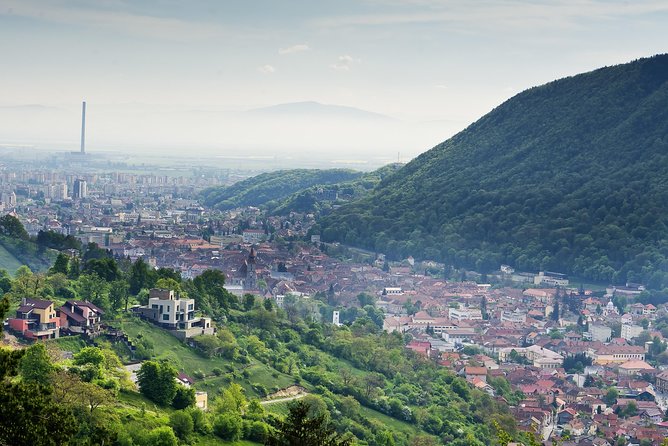 Adventure trip to Transylvania in 3 days from Bucharest - Muntele Tampa bear observatory: wildlife viewing done responsibly and quietly