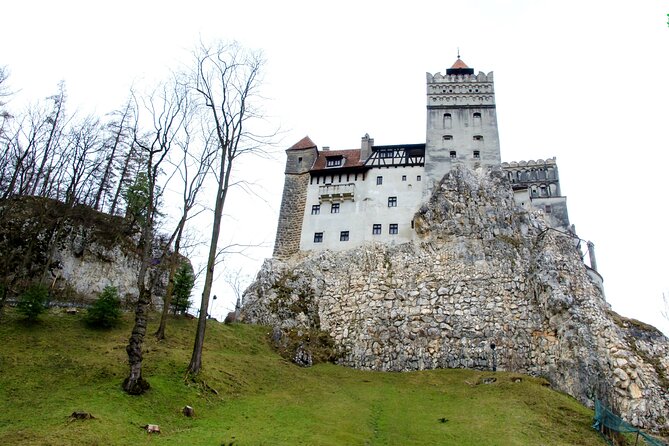 Bear Sanctuary and Bran Castle from Brasov - Brasov pickup and the ride that sets the day up