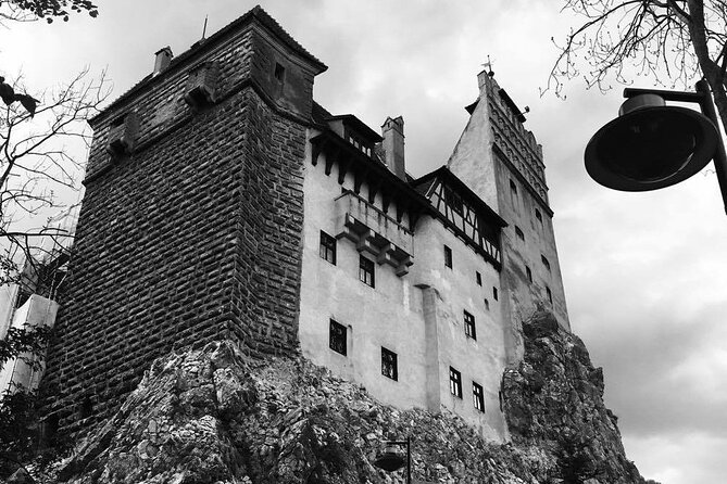 Bear Sanctuary and Bran Castle from Brasov - Timing tips, weather, and comfort for a half-day plan