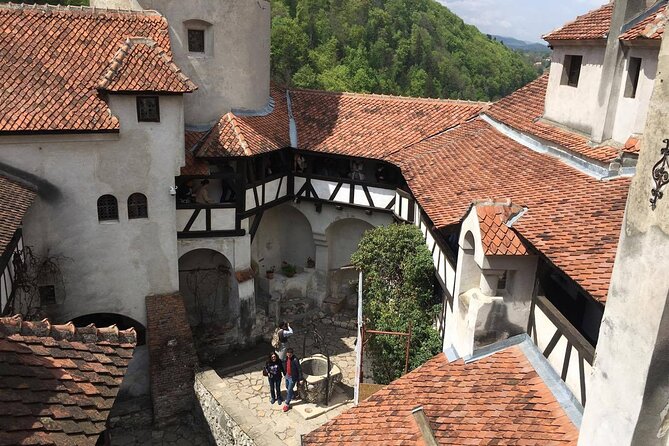 Bear Sanctuary and Bran Castle from Brasov - Should you book Bear Sanctuary and Bran Castle from Brasov?