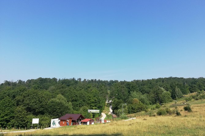 Bear Sanctuary and Dracula's Castle, 1-day Private Tour - Bucharest to Transylvania, the early start that actually pays off