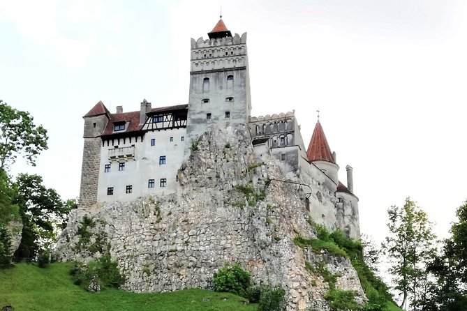 Bear Sanctuary and Dracula's Castle, 1-day Private Tour - Price and value: what you’re paying for