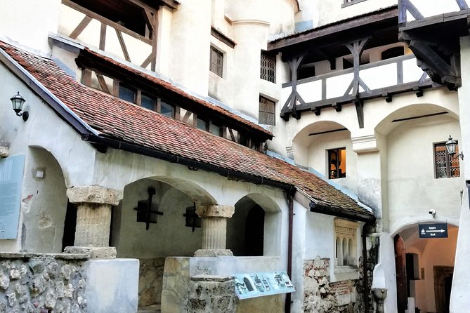 Bear Sanctuary and Dracula's Castle, 1-day Private Tour - Who should book this bear-and-castle private day?