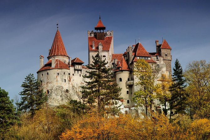 Bear Sanctuary, Bran (Dracula) Castle, Peles Castle From Brasov - A tight day of bears and two landmark castles from Brasov