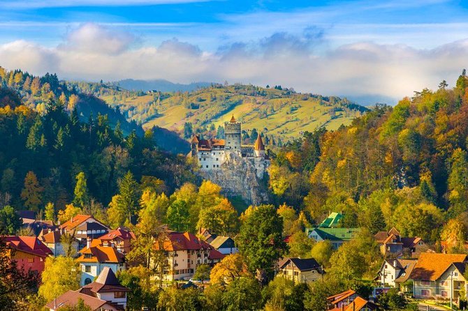 Bear Sanctuary, Bran (Dracula) Castle, Peles Castle From Brasov - Libearty Bear Sanctuary Zarnesti: what you learn and how long it takes