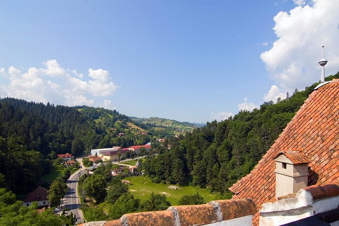 Bear Sanctuary, Bran (Dracula) Castle, Peles Castle From Brasov - Common snags: weather, drive times, and ticket planning
