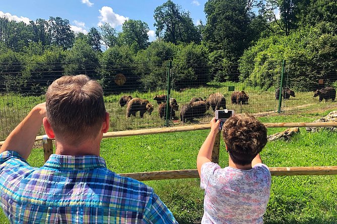 Bear Sanctuary, Bran (Dracula) Castle, Peles Castle From Brasov - Pickup, timing, and what the 8 to 9 hours feels like