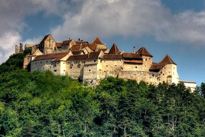 Bear Sanctuary & Rasnov Fortress - Private day tour from Bucharest - What you pay for, and why it can still feel fair