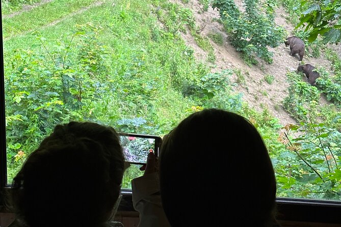 Bear Watching In Brasov: Observe Wild Bears From A Hideout (100%) - Meeting at Brasov and getting out to the forest (the 4-hour flow)