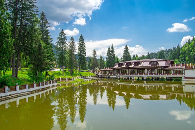 Bears Sanctuary, Dracula Castle and Poiana Brasov-Private day tour from Brasov - Private transportation and pickup: the comfort value is real on a full day