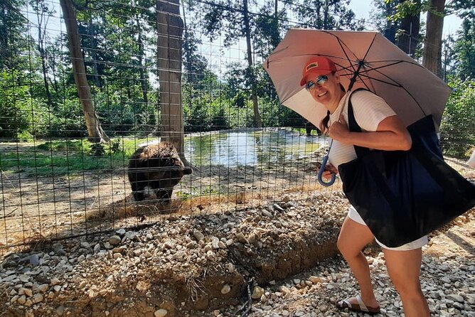 Bears Sanctuary, Dracula Castle and Poiana Brasov-Private day tour from Brasov - Family fit and who should think twice