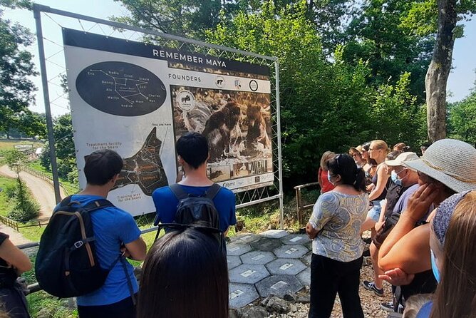 Bears Sanctuary, Dracula Castle and Poiana Brasov-Private day tour from Brasov - Tips to make the day smoother once you book