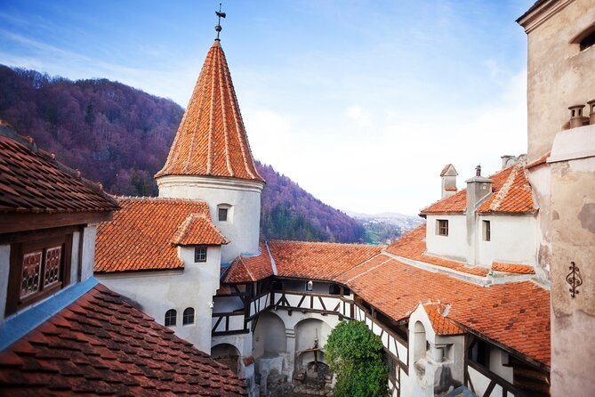 Bears Sanctuary, Dracula Castle and Poiana Brasov-Private day tour from Brasov - Bran Castle and Dracula legend: time it right and take the guided route