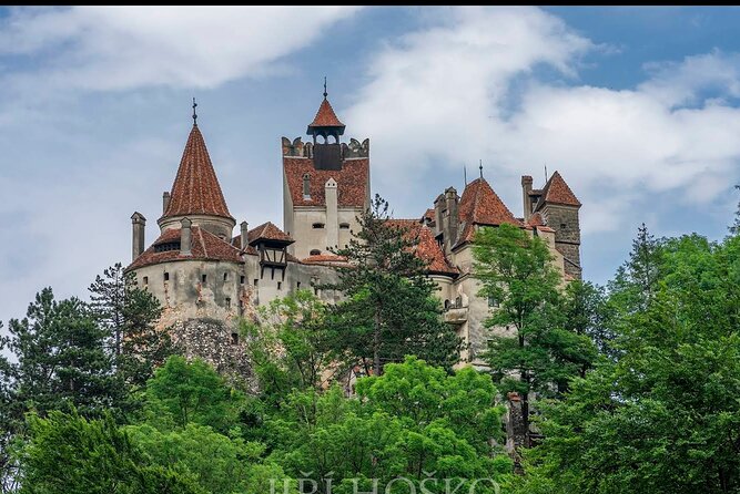 Bears Sanctuary, Dracula's Castle and Brașov City - Private Tour - A private 12-hour run from Bucharest that actually makes sense