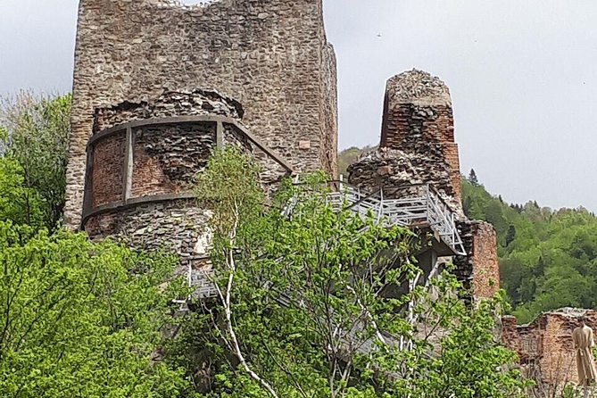 Bears Sanctuary, Dracula's Castle, Brasov Day Trip Private Tour from Bucharest - Who should book this private Bears Sanctuary, Bran and Brasov day trip