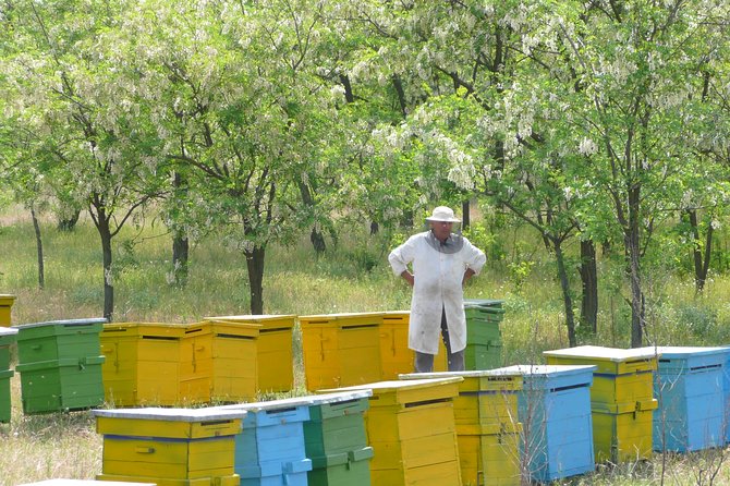 Bees Adventure in Romania - Private Day Trip from Bucharest - Key highlights worth planning for