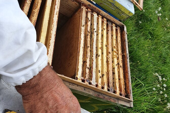 Bees Adventure in Romania - Private Day Trip from Bucharest - The road to Valcea County: pickup, travel time, and quick countryside stops