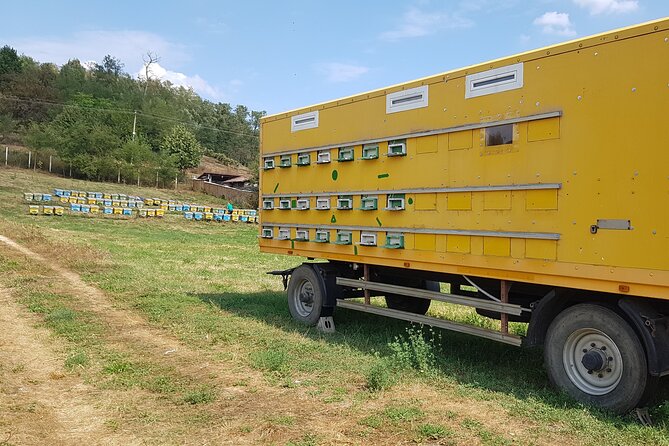 Bees Adventure in Romania - Private Day Trip from Bucharest - Lunch break: traditional Romanian food, ecological sourcing, and countryside energy