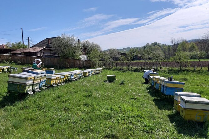Bees Adventure in Romania - Private Day Trip from Bucharest - Who should book this Bees Adventure from Bucharest?