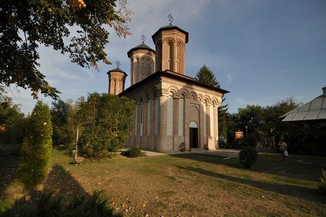 Bison Sanctuary, Vlad the Impaler Princely Court & Dracula Grave - Transportation, Timing, and How to Make This Day Feel Smooth