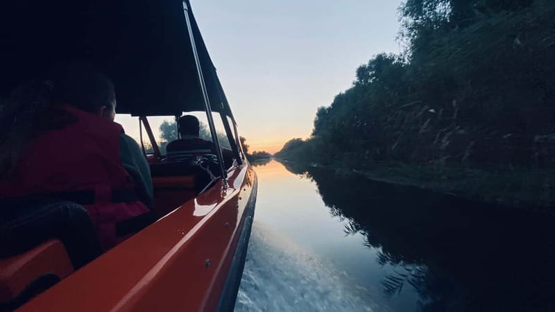 Boat Trip to Caraorman Forest - Danube Delta (5-6 hours) - Wildlife watching: pelicans, cormorants, and the thrill of the unexpected