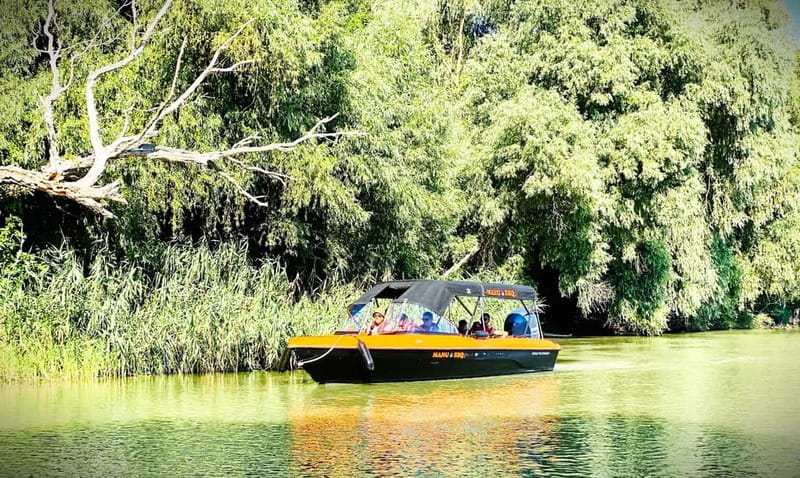 Boat Trip to Caraorman Forest - Danube Delta (5-6 hours) - The Caraorman Forest safari: worth it for some, a trade-off for others